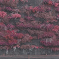 Even In Arcadia (2LP)