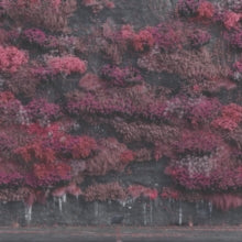 Even In Arcadia (2LP)
