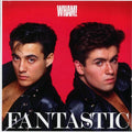 Fantastic (150 Gram Vinyl)