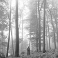 Folklore (Clean Version, Bonus Track)