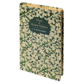 Anne of Green Gables (Chiltern Classic)