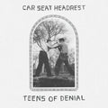Teens Of Denial (2 Lp's)