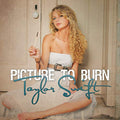 Picture To Burn [Smoke Gray 7"]