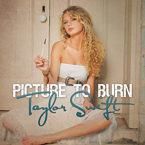 Picture To Burn [Smoke Gray 7"]