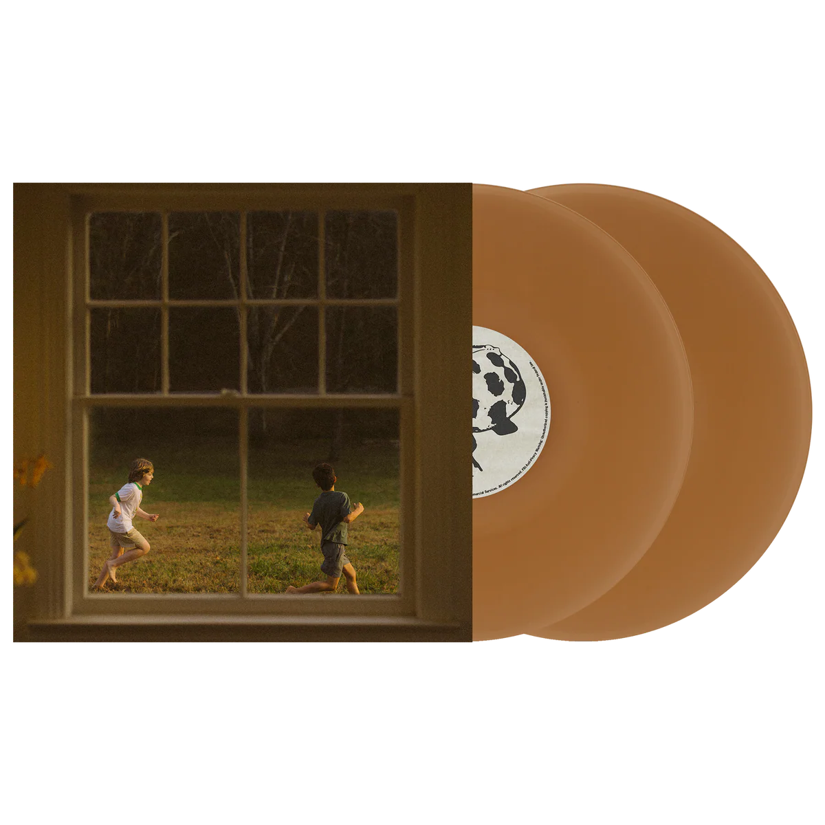The Great Divide (Indie Exclusive) (Translucent Beer Bottle Colored Vinyl) (2 Lp's)