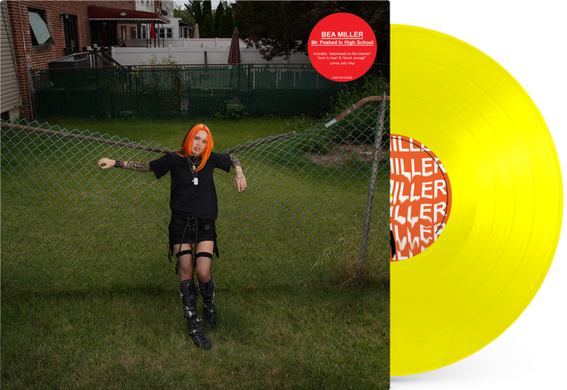 MR. PEAKED IN HIGH SCHOOL (LEMON JELLY VINYL)