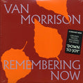 Remembering Now (2 LP)